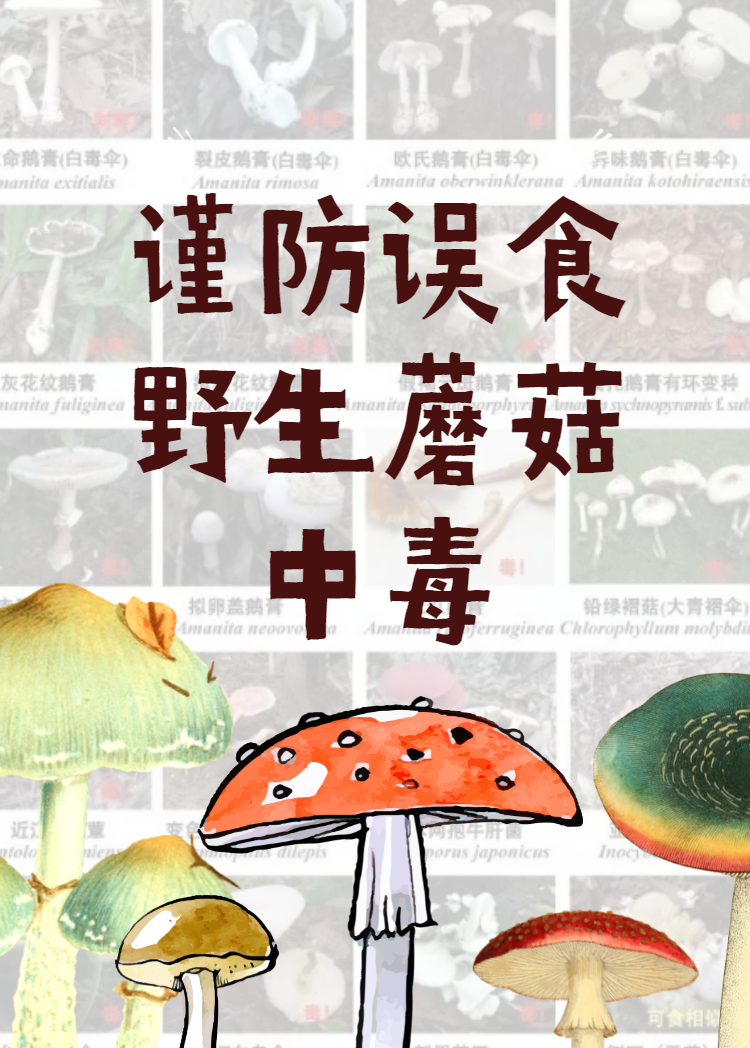 防范野生菌中毒