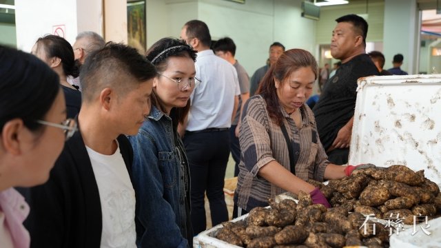 彝良小草坝鲜天麻上市 可实现产值45亿元