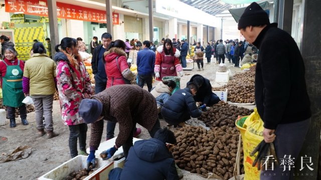 赶场天小草坝天麻国际交易中心交易火爆