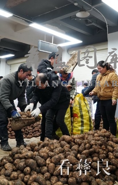 赶场天小草坝天麻国际交易中心交易火爆