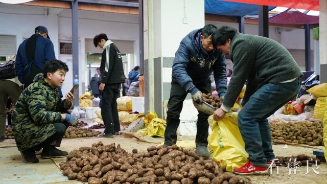 赶场天小草坝天麻国际交易中心交易火爆