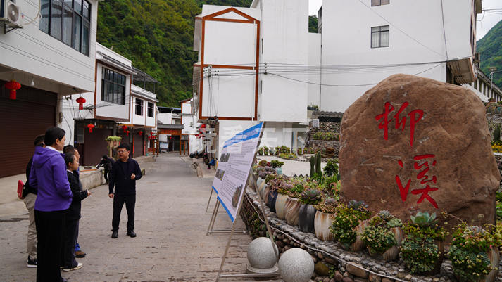 （20260414）彝良柳溪桐梓林