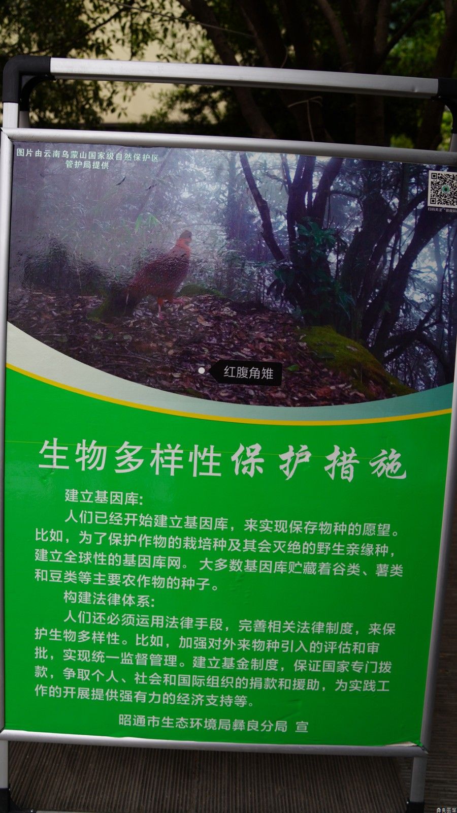 “安全生产月”科普展板网上看