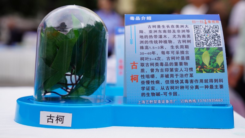 禁毒：这些新型毒品你能辨别吗？