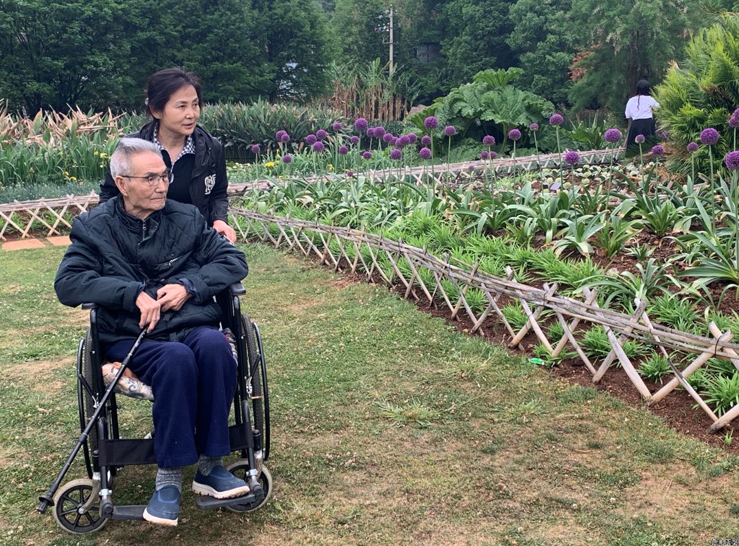 “天麻之父”周铉：改写天麻只能野生，不能人工种植的历史