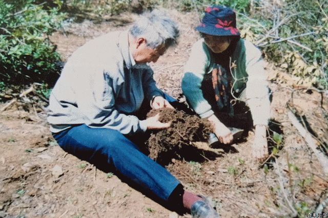 “天麻之父”周铉：改写天麻只能野生，不能人工种植的历史
