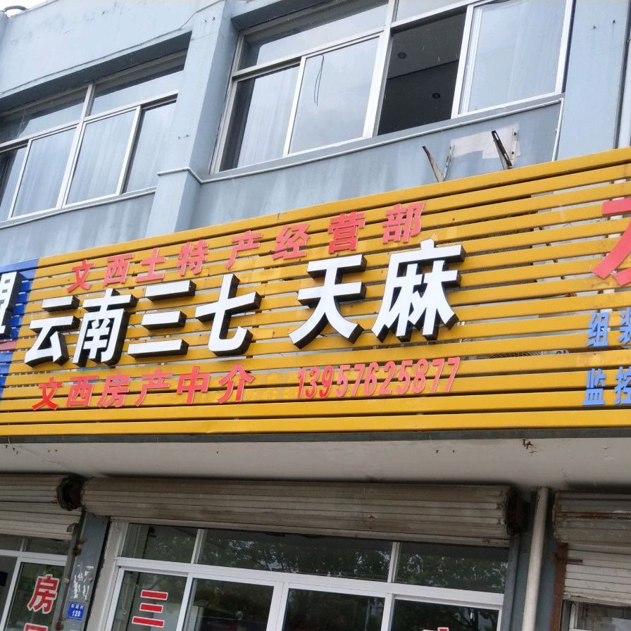 彝良天麻XCBTM20260001